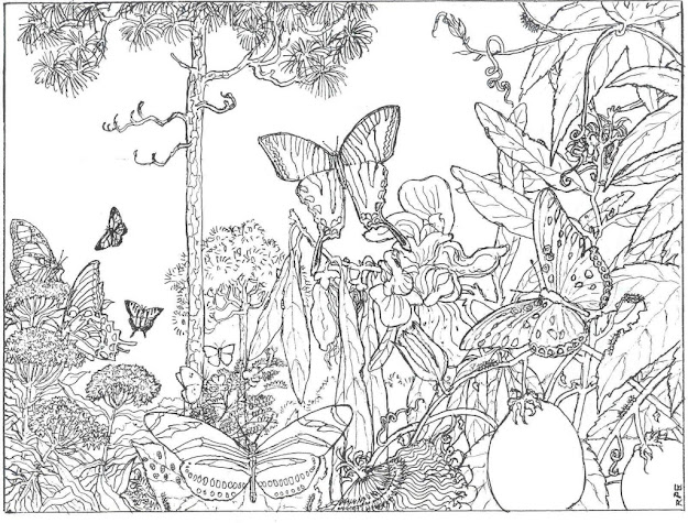 Free Printable Adult Coloring Pages Awesome Image   Gianfredanet