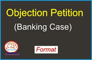 Objection Petition format