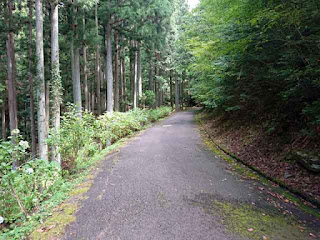 21世紀の森公園 林道