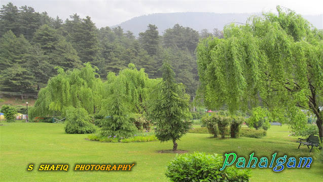 Wallpaper_Pahalgam