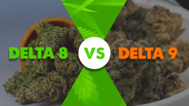 delta 8 vs delta 9 cannabinoids comparison health benefits