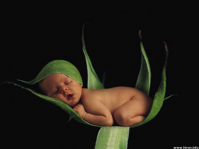 Creative baby Boy sleeping on the leaf photo