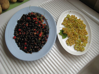 own grown fruit from the garden