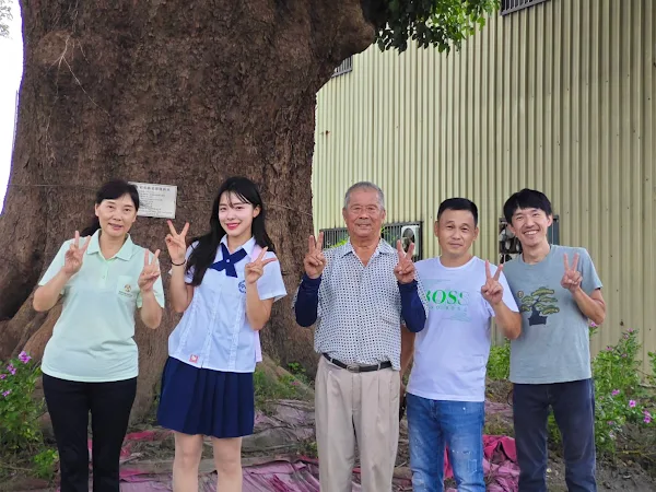 ▲李多慧造訪永北村大發路上的兩百年茄苳樹，永北村長劉銘松相當興奮，打趣說：「台東有金城武樹，以後我們也可以有李多慧樹了！」（頂新和德文教基金會提供）