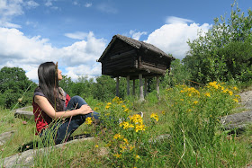 Skansen