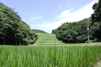 DSC 0286