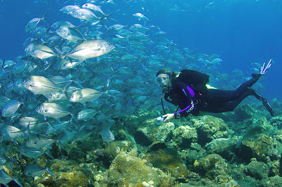 Tulamben in Bali