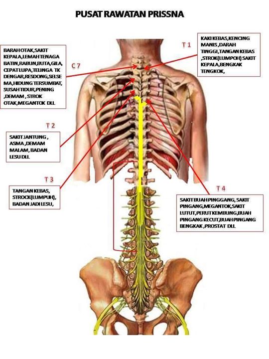 Prissna Wellness & Therapy Centre (Pusat Rawatan PRISSNA 