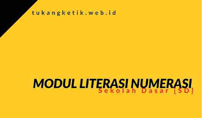 Modul Literasi Numerasi