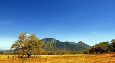 Baluran jawa timur