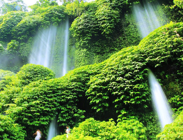 5 Air Terjun di Lombok Yang Paling Indah dan Populer Patut Kamu Kunjungi