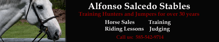 AlfonsoSalcedo.com  | The Team