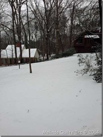 012814 Front Yard