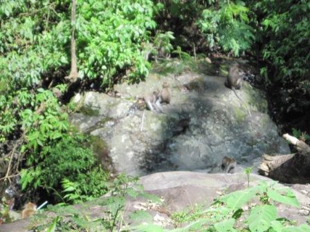 Wisata Air Terjun Kakek Bodo