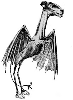 jersey-devil.jpg