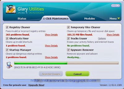 software for maintenance, glary utilities