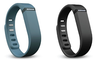  Fitbit Flex Wristband