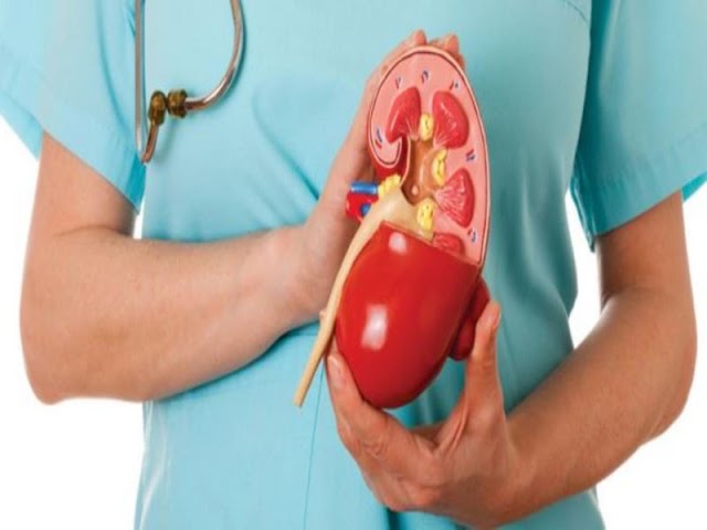 Warning signs Kidney Failure:किडनी खराब होने से पहले आपका शरीर देने लगता है ऐसे संकेत