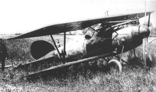 bv1