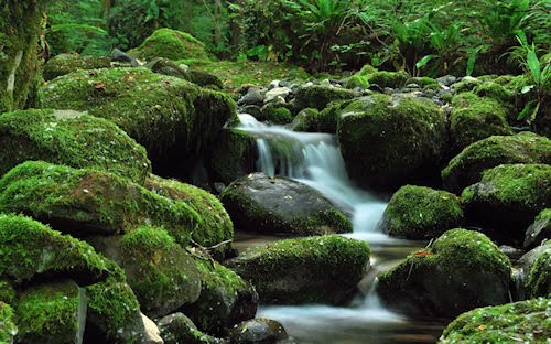 Cascadas del Paraíso - Paradise - 1920x1200