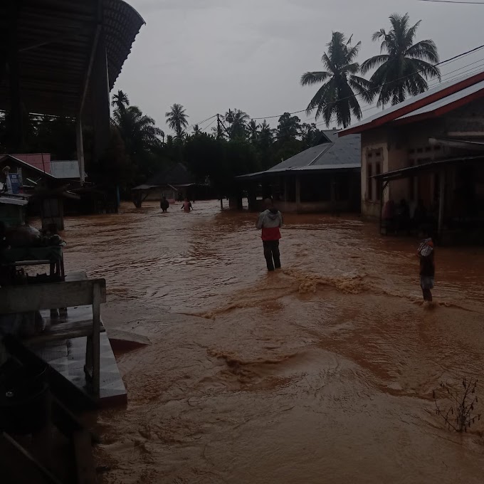 Ratusan Rumah Warga Desa Pawan Rohul Terendam Banjir