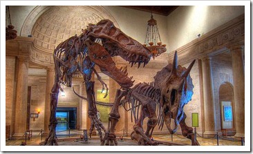 natural history museum