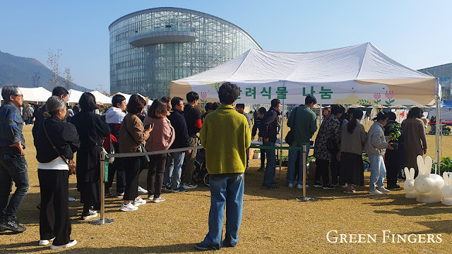 Visitors browsing rare and exotic houseplants at the Sejong Arboretum Plant Festival