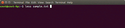 Image not loaded