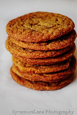 molasses cookies-w