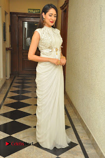 Actress Pragya Jaiswal Stills in Beautiful White Dress at turodu Audio Launch  0069.JPG