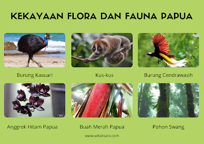 kekayaan flora fauna papua