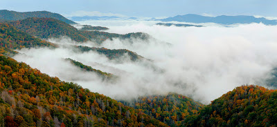 fall color in the Great Smoky Mountains national park