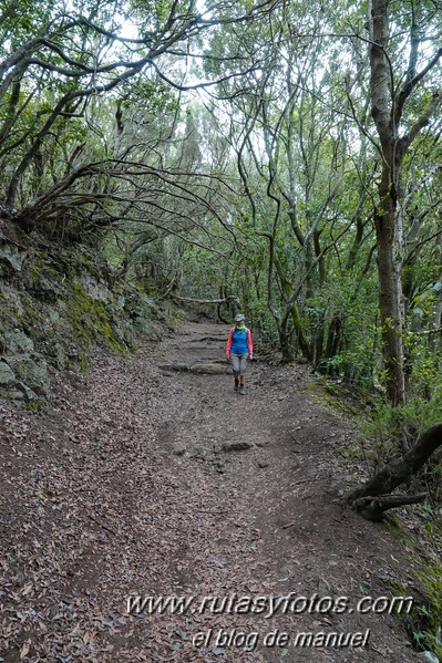 Sendero de los Sentidos - Sendero de los Enigmas