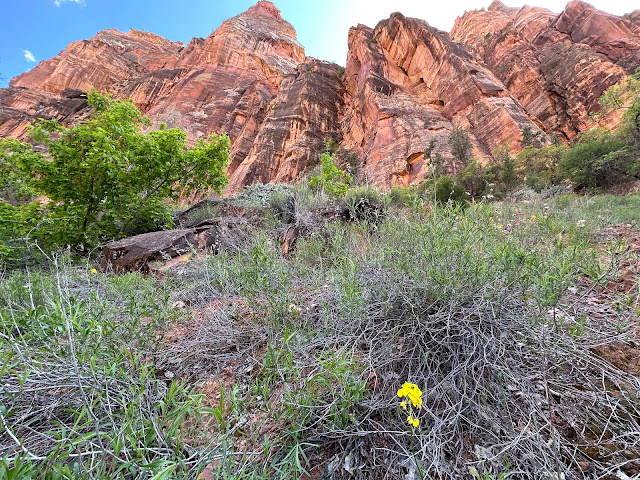 Zion National Park