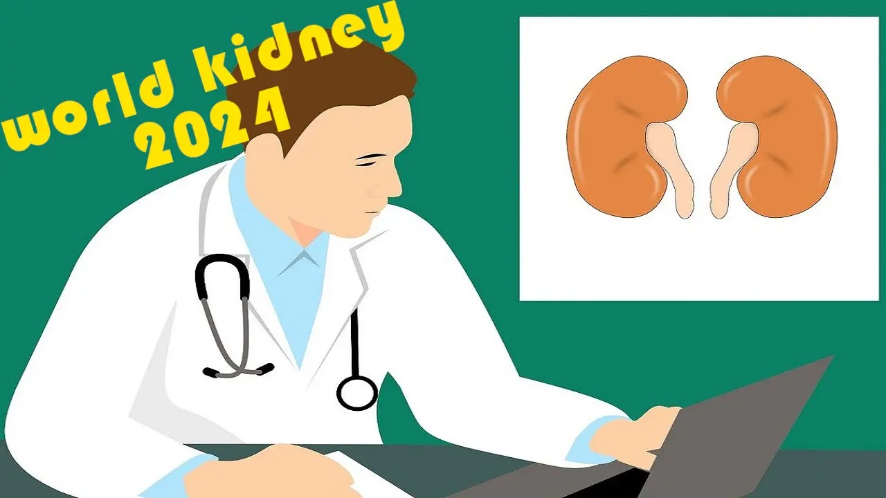 world kidney day, chronic kidney disease awareness, world kidney day, world kidney day 2024, kidney day, World Kidney Day aims, World Kidney Day celebrated, Kidney Day celebrated, Awareness Day,