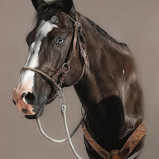 el-color-del-pastel-en-los-caballos-de-Marion-Tubiana caballos-dibujos-pastel