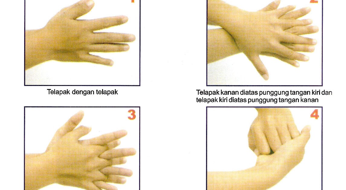 Kesehatan Cuci  tangan  7 Langkah