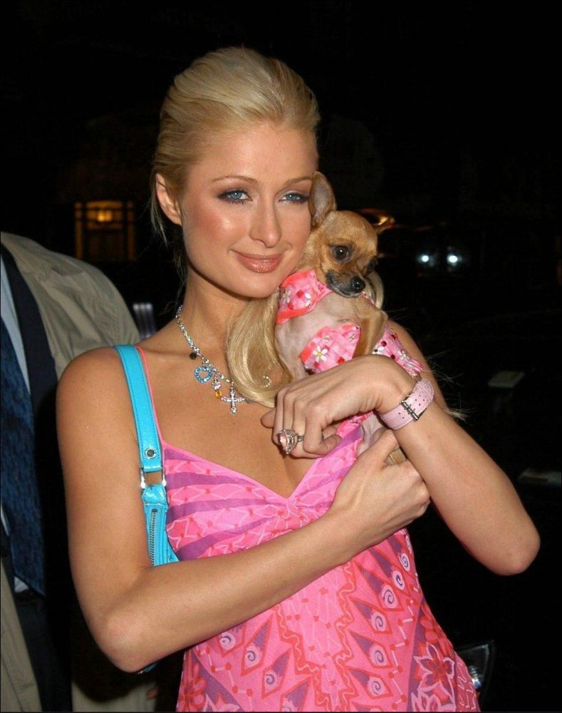 Paris Hilton Hairstyles