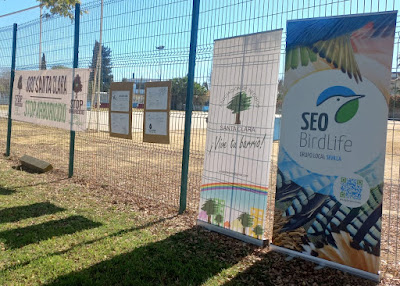 Actividad del Grupo Local SEO Sevilla con la Asociación de Vecinos Santa Clara en el Barrio