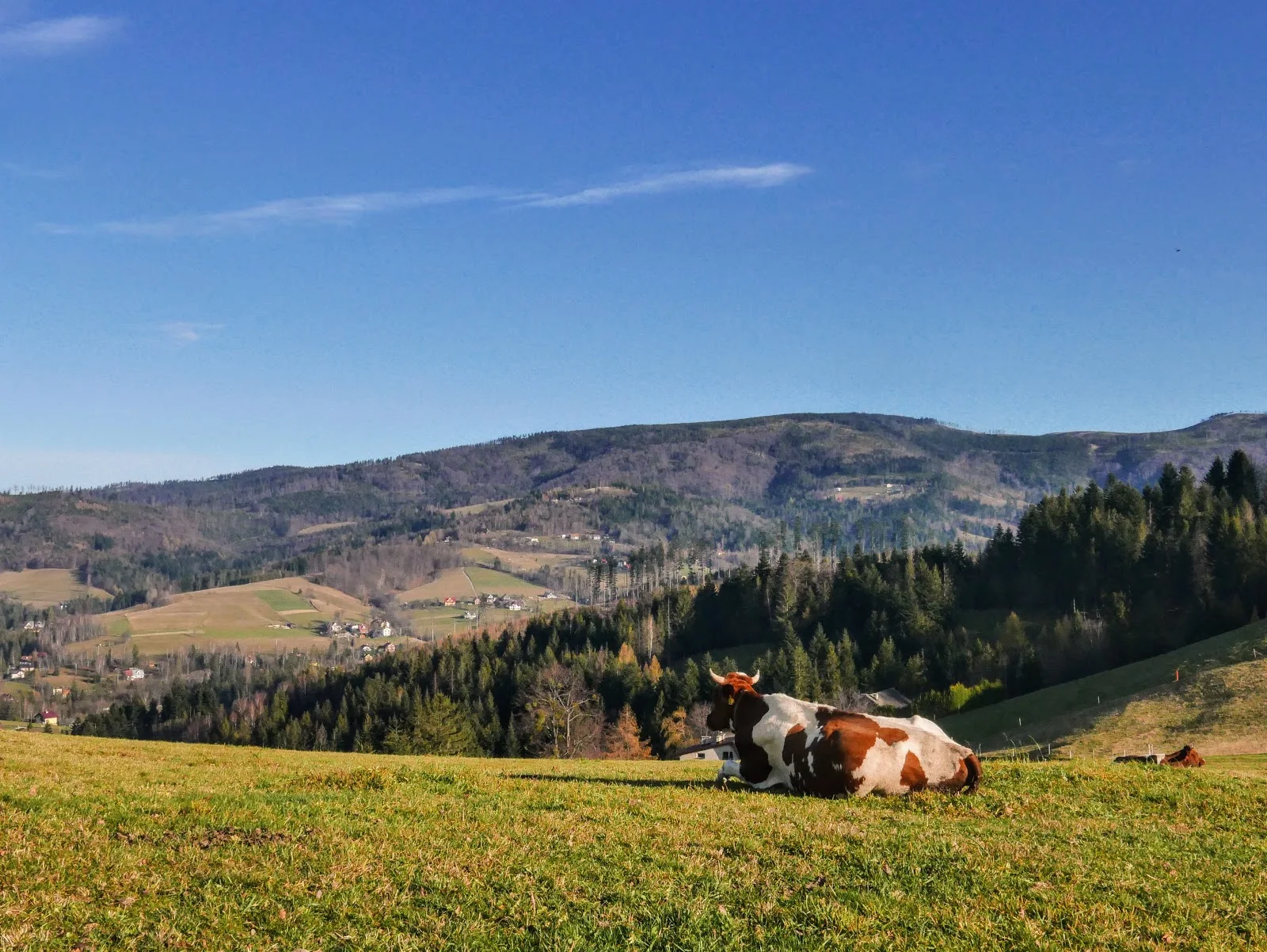 Szlak w Beskidzie Śląskim. Wisła na weekend. Malinowska Skała. Beskid Śląski atrakcje. Beskid Śląski mapa. Beskid Śląski szczyty. Pętla Cieńkowska. Beskid Śląski z dzieckiem. Beskid Śląski rodzinnie.