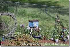 bee swarm - The Backyard Farmwife