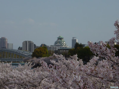 大阪城と桜