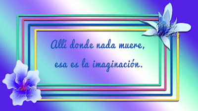 Frases  - Mensajes