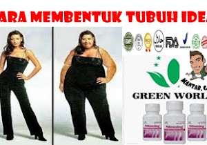 Cara Mengecilkan Tubuh Yang Gemuk Dengan Cepat