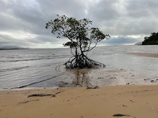 Mije Creek, Luggers Bay, Kennedy Walking Track, South Mission Beach Qld