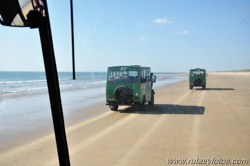 Parque Nacional de Doñana