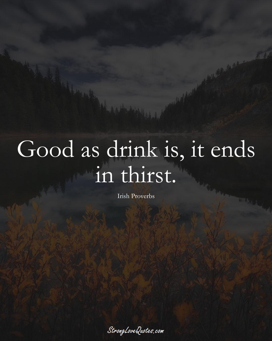 Good as drink is, it ends in thirst. (Irish Sayings);  #EuropeanSayings
