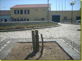 DSCN2656 DSCN2656