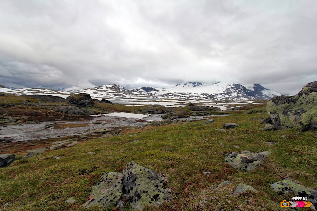 Massif du Jotunheimen - Route du Sognefjell - Norvège