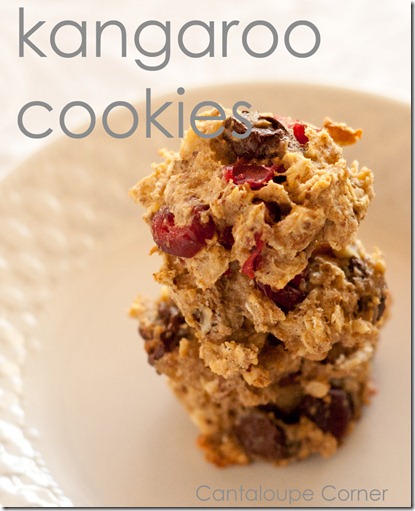 Kangaroo cookies